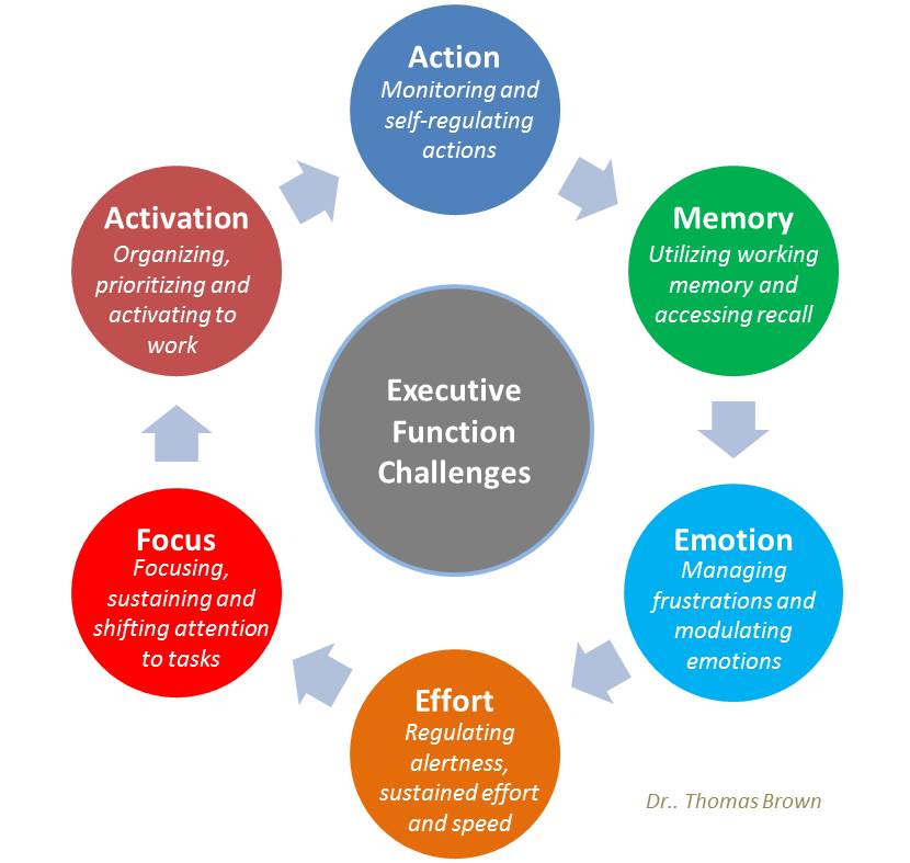 Executive-Function-Brown